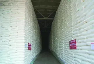 郑州期货交割仓库(郑州期货交割仓库在哪)_道指直播_第1张_期货投资网 郑州期货交割仓库(郑州期货交割仓库在哪)_https://www.cqckcrrc.com_道指直播_第1张