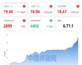 猪期货上市会怎么表现(生猪期货上市价格是高还是低)_https://www.cqckcrrc.com_期货直播_第1张