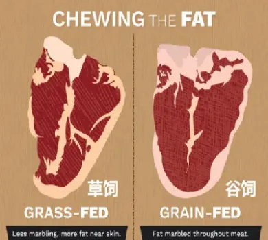 牛肉期货在哪看(牛肉期货在哪看行情)_纳指直播_第1张_期货投资网 牛肉期货在哪看(牛肉期货在哪看行情)_https://www.cqckcrrc.com_纳指直播_第1张