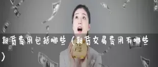 一手期货的费用(做一手期货有哪些费用)_期货行情_第1张_期货投资网 一手期货的费用(做一手期货有哪些费用)_https://www.cqckcrrc.com_期货行情_第1张