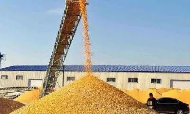 玉米淀粉期货合约(玉米淀粉期货合约技术分析)_期货理财_第1张_期货投资网 玉米淀粉期货合约(玉米淀粉期货合约技术分析)_https://www.cqckcrrc.com_期货理财_第1张