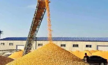 期货新手怎么做玉米期货(美国玉米期货和国内玉米期货)_https://www.cqckcrrc.com_黄金期货_第1张