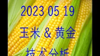 期货玉米投资建议(期货玉米投资技巧)_期货品种_第1张_期货投资网 期货玉米投资建议(期货玉米投资技巧)_https://www.cqckcrrc.com_期货品种_第1张