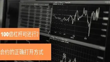 什么期货品种有100倍杠杆(什么期货品种有100倍杠杆收益)_https://www.cqckcrrc.com_理财品种_第1张