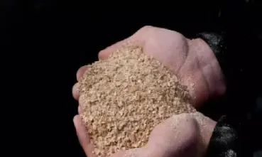 期货里的豆粕是什么(期货豆粕指数是什么意思)_https://www.cqckcrrc.com_期货知识_第1张