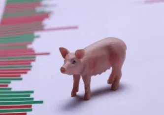 生猪期货年前大涨(生猪期货大涨分析)_基金理财_第1张_期货投资网 生猪期货年前大涨(生猪期货大涨分析)_https://www.cqckcrrc.com_基金理财_第1张