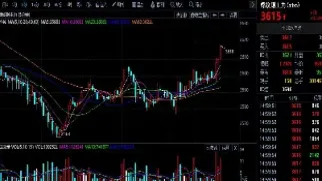 股票期货交易意味什么(股票期货交易入门知识)_https://www.cqckcrrc.com_原油期货_第1张