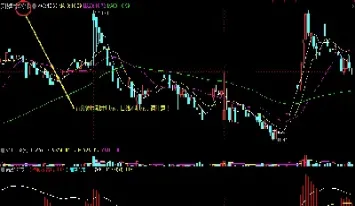 商品期货活跃指标(期货活跃度是什么意思)_基金理财_第1张_期货投资网 商品期货活跃指标(期货活跃度是什么意思)_https://www.cqckcrrc.com_基金理财_第1张