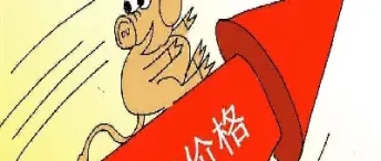 生猪期货夜盘交易吗(生猪期货可以持有多长时间)_期货开户_第1张_期货投资网 生猪期货夜盘交易吗(生猪期货可以持有多长时间)_https://www.cqckcrrc.com_期货开户_第1张