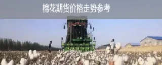 期货棉花价格多少(期货棉花价格多少合适)_https://www.cqckcrrc.com_期货行情_第1张