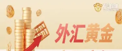 黄金股票外汇期货(外汇黄金期货可以投资吗)_https://www.cqckcrrc.com_期货品种_第1张
