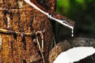 橡胶期货怎么交易市场(橡胶期货如何交易)_恒指期货_第1张_期货投资网 橡胶期货怎么交易市场(橡胶期货如何交易)_https://www.cqckcrrc.com_恒指期货_第1张