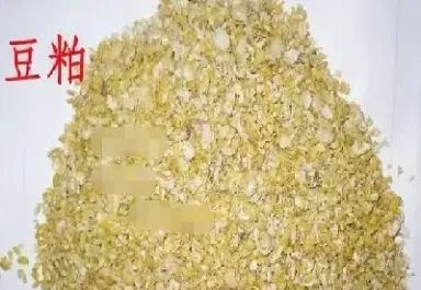期货中的菜粕是什么品种(期货中的菜粕用途)_股票理财_第1张_期货投资网 期货中的菜粕是什么品种(期货中的菜粕用途)_https://www.cqckcrrc.com_股票理财_第1张