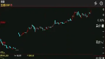 生猪商品期货行情(生猪期货行情实时行情分析)_https://www.cqckcrrc.com_期货开户_第1张