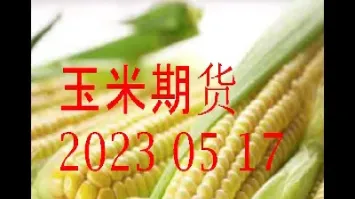 美玉米期货换算公式(美玉米期货怎么买)_期货理财_第1张_期货投资网 美玉米期货换算公式(美玉米期货怎么买)_https://www.cqckcrrc.com_期货理财_第1张
