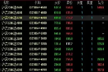 股指期货1507是什么意思(股指期货2107)_财经要闻_第1张_期货投资网 股指期货1507是什么意思(股指期货2107)_https://www.cqckcrrc.com_财经要闻_第1张