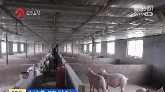 期货生猪上市仪式(生猪期货立项了吗)_理财品种_第1张_期货投资网 期货生猪上市仪式(生猪期货立项了吗)_https://www.cqckcrrc.com_理财品种_第1张