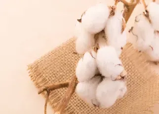 棉花期货价行情(棉花期货价行情走势图)_https://www.cqckcrrc.com_黄金期货_第1张