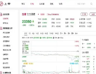 生猪9月期货价(生猪期货2409最新价格)_https://www.cqckcrrc.com_纳指直播_第1张