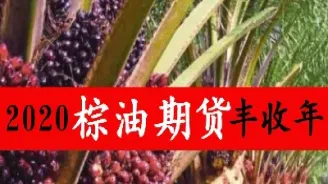 棕榈油期货最多买多少(棕榈油期货一般多少手续费)_期货知识_第1张_期货投资网 棕榈油期货最多买多少(棕榈油期货一般多少手续费)_https://www.cqckcrrc.com_期货知识_第1张