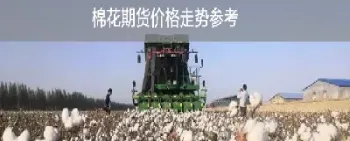今天期货棉花(棉花今天期货价格)_https://www.cqckcrrc.com_内盘期货_第1张