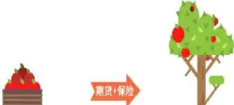 保险期货市场意义(保险期货是什么意思)_https://www.cqckcrrc.com_道指直播_第1张