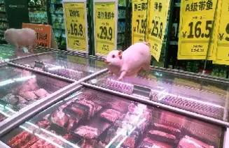 猪肉期货怎么不跌价(猪肉期货为啥一直下跌)_期货行情_第1张_期货投资网 猪肉期货怎么不跌价(猪肉期货为啥一直下跌)_https://www.cqckcrrc.com_期货行情_第1张