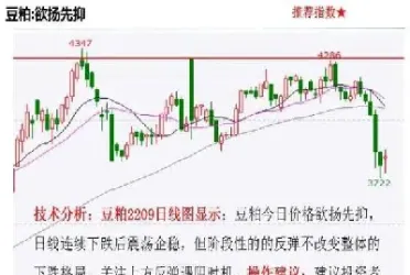 随便找个期货品种(期货里哪个品种最好做)_https://www.cqckcrrc.com_恒生指数_第1张