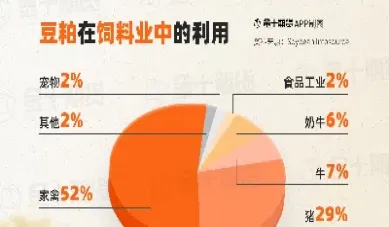 大豆期货的投资者(大豆期货最新消息)_https://www.cqckcrrc.com_纳指直播_第1张