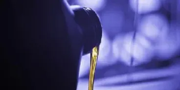 低硫燃料油期货下跌(低硫燃油期货行情)_基金理财_第1张_期货投资网 低硫燃料油期货下跌(低硫燃油期货行情)_https://www.cqckcrrc.com_基金理财_第1张