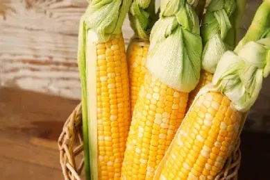 玉米期货一手涨跌(玉米期货1手多少吨)_https://www.cqckcrrc.com_恒生指数_第1张