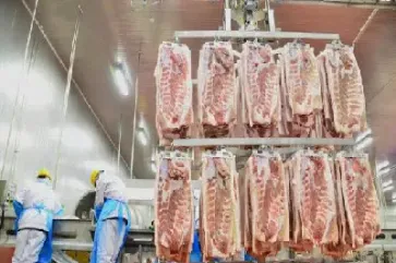 国内期货品种有猪肉(期货猪肉代码是什么)_期货直播_第1张_期货投资网 国内期货品种有猪肉(期货猪肉代码是什么)_https://www.cqckcrrc.com_期货直播_第1张