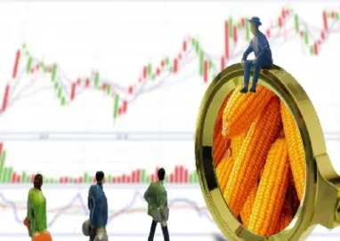 玉米淀粉期货为什么这么低(期货玉米淀粉有过涨跌停吗)_https://www.cqckcrrc.com_财经要闻_第1张