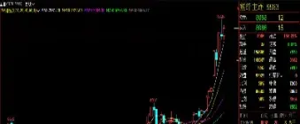 期货短纤是什么(短纤期货最新行情)_https://www.cqckcrrc.com_期货品种_第1张