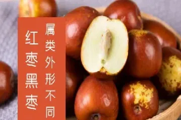 红枣期货属于什么品种(红枣期货价格与季节有关系吗)_财经要闻_第1张_期货投资网 红枣期货属于什么品种(红枣期货价格与季节有关系吗)_https://www.cqckcrrc.com_财经要闻_第1张
