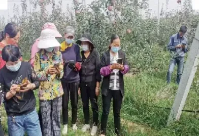 农业保险期货模式(农业保险农业期货的重要性)_https://www.cqckcrrc.com_财经要闻_第1张