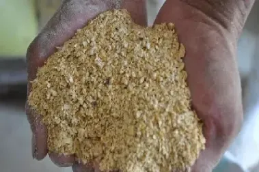 豆粕和黄豆期货(期货豆粕与什么品种有联动性)_https://www.cqckcrrc.com_财经直播室_第1张