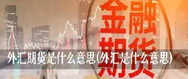 外汇期货条件(外汇期货条件有哪些)_https://www.cqckcrrc.com_道指直播_第1张