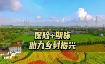 保险期货的品种有哪些类型(期货保险由哪些产品组成)_期货直播_第1张_期货投资网 保险期货的品种有哪些类型(期货保险由哪些产品组成)_https://www.cqckcrrc.com_期货直播_第1张