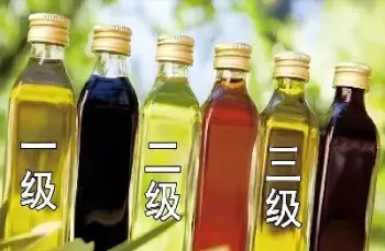 食用油交易期货(食用油期货行情k线图)_https://www.cqckcrrc.com_期货知识_第1张