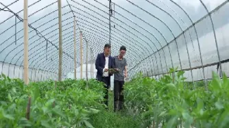 辣椒期货批准上市(辣椒期货有没有上市)_恒指期货_第1张_期货投资网 辣椒期货批准上市(辣椒期货有没有上市)_https://www.cqckcrrc.com_恒指期货_第1张
