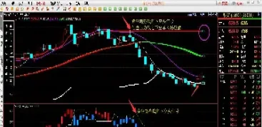 严明金融期货(规范的金融期货)_https://www.cqckcrrc.com_期货行情_第1张