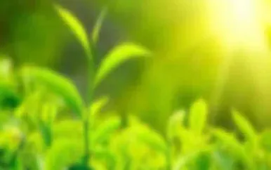 碳排放交易是在期货市场里吗(碳排放有期货吗)_https://www.cqckcrrc.com_股票理财_第1张