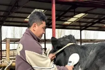 保险期货为生猪养殖吃下定心丸(生猪期货价格保险介绍)_https://www.cqckcrrc.com_期货理财_第1张