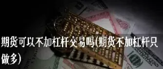 期货杠杆自己可以选择吗(期货交易杠杆可以自行设定吗)_https://www.cqckcrrc.com_股票理财_第1张