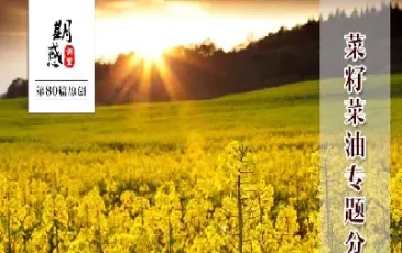 菜籽期货入门基础知识(菜籽期货基础知识)_https://www.cqckcrrc.com_恒指期货_第1张