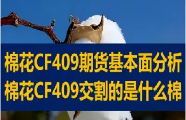 棉花期货交割库里的棉花(棉花期货交割库里的棉花是什么)_国际期货_第1张_期货投资网 棉花期货交割库里的棉花(棉花期货交割库里的棉花是什么)_https://www.cqckcrrc.com_国际期货_第1张