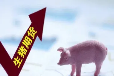 猪肉期货的门槛是多少(猪肉期货最新行情)_https://www.cqckcrrc.com_理财品种_第1张