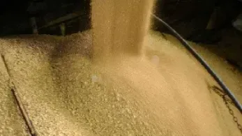 豆粕期货的最后交易日(豆粕期货的最后交易日是哪一天)_https://www.cqckcrrc.com_国际期货_第1张