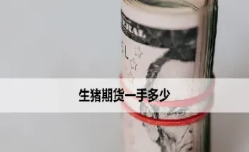 生猪期货隔夜手续费(生猪期货手续费调整)_理财品种_第1张_期货投资网 生猪期货隔夜手续费(生猪期货手续费调整)_https://www.cqckcrrc.com_理财品种_第1张